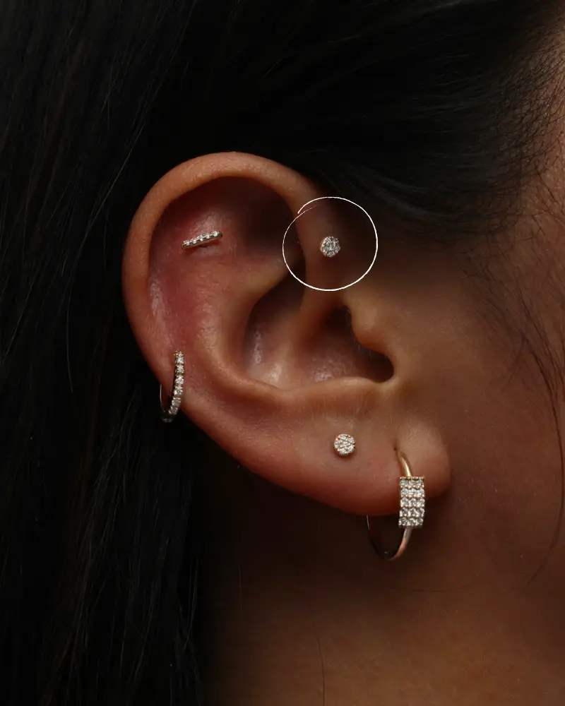 forward-helix-piercing-instagram   sarahandsebastian