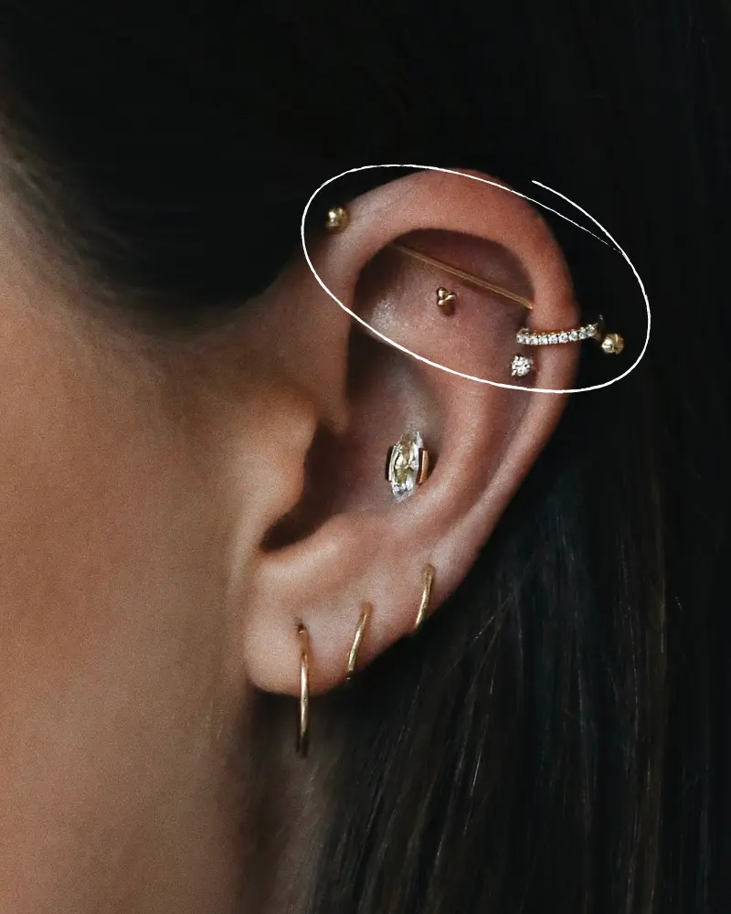 industrial-piercing instagram  sarahandsebastian