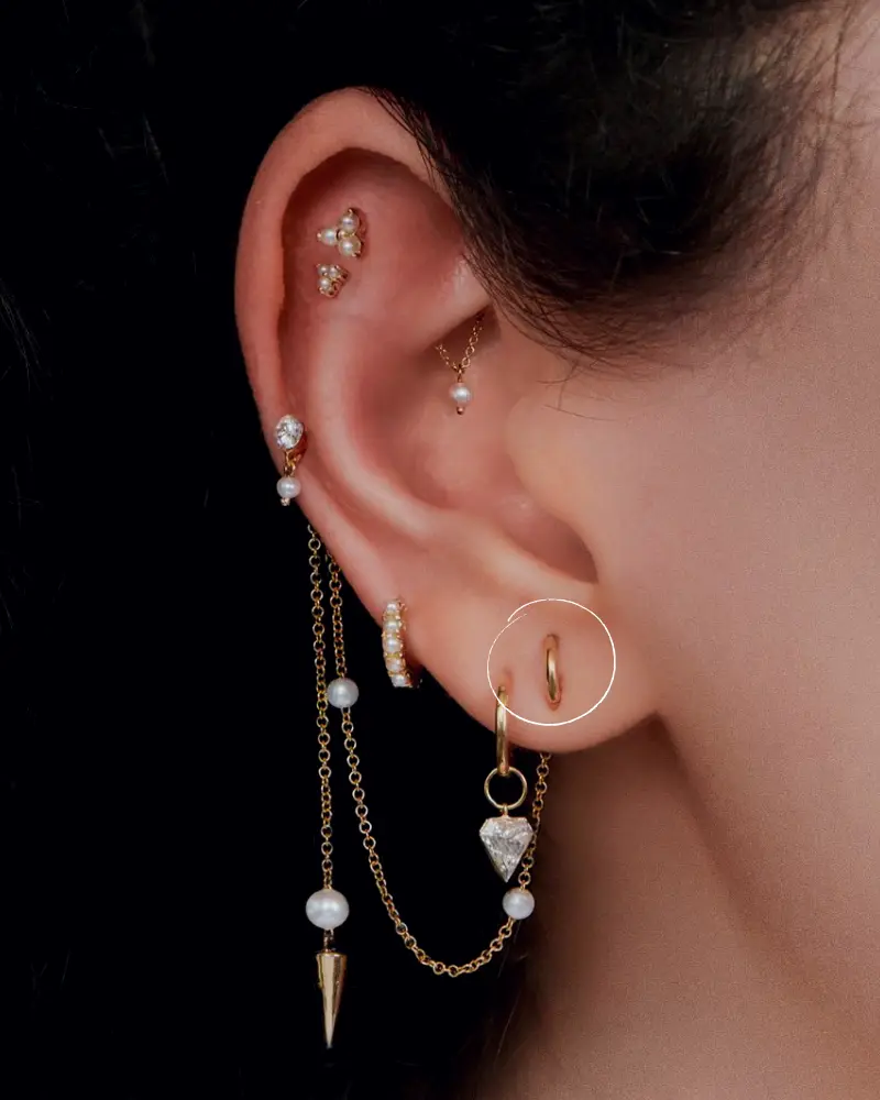 orbital-piercing - instagram mariatash