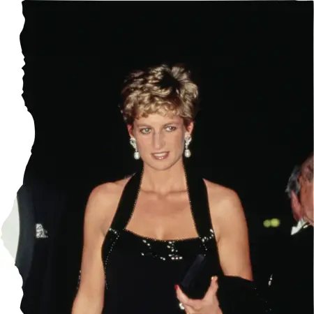Princess Diana Archive 