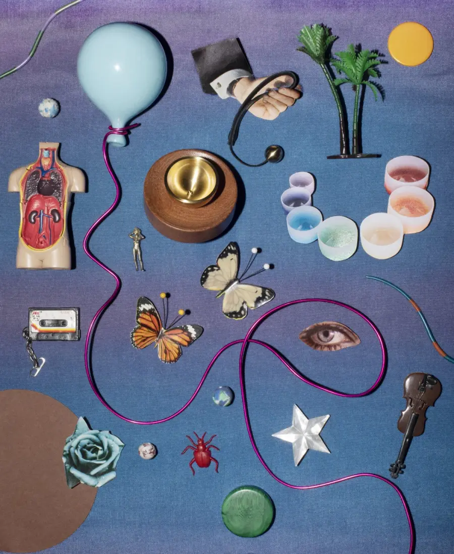 annie collinge