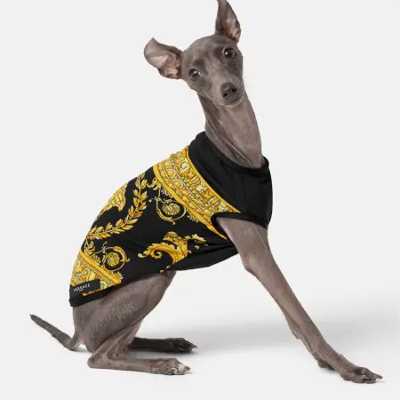 versace
