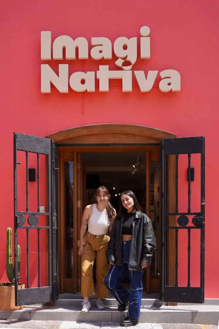 La ImagiNativa 