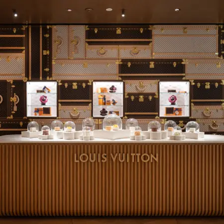 Louis Vuitton The Louis Shop