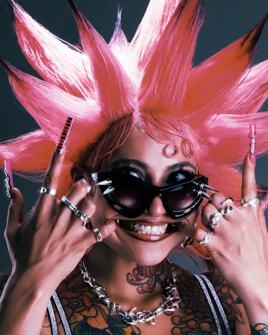 The Punk