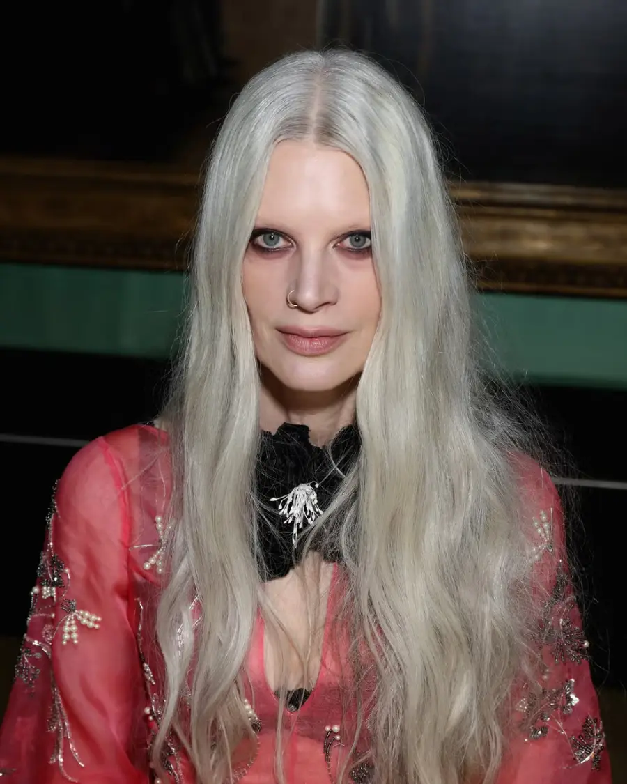 kristen-mcmenamy-attends-the-erdem-x-nars-launch-dinner-at-news-photo-1760117360