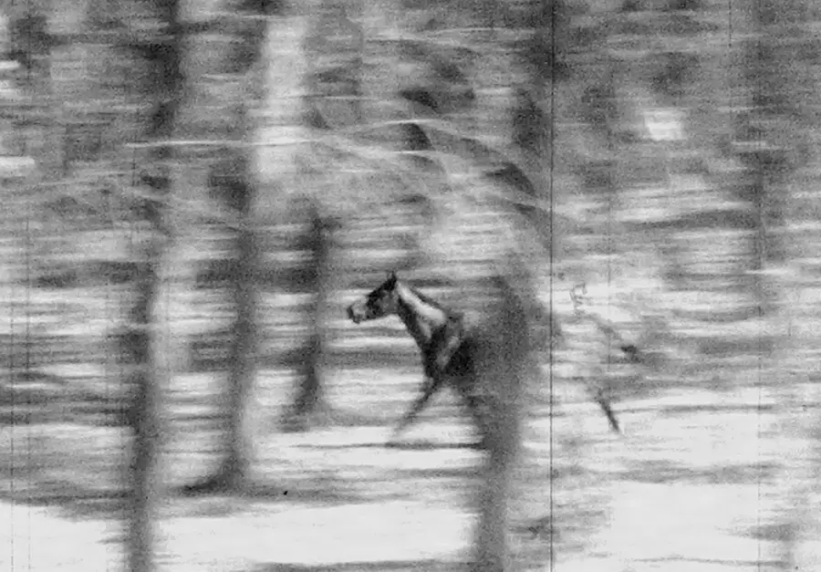 el_viento_y_todos_los_tiempos_1