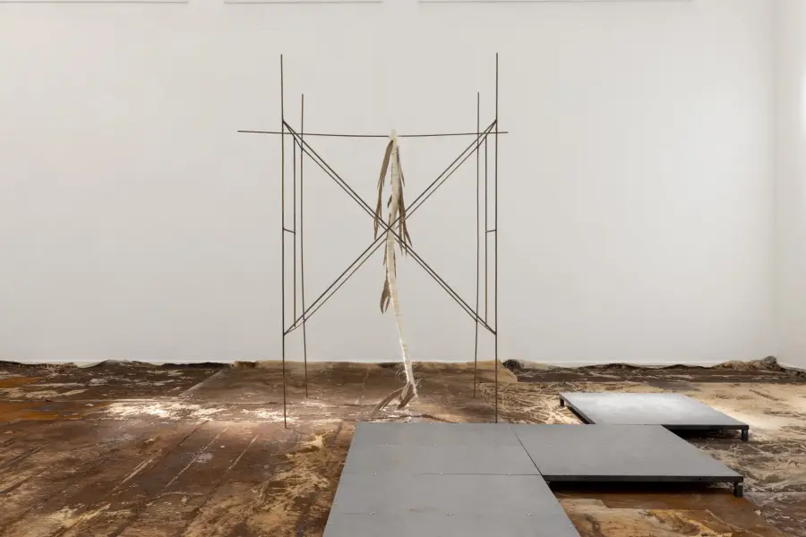 Sofía Salazar Rosales Ateliers 2025. Courtesy of the artist and ChertLüdde, Berlín. Fotografía: Natascha Libbert 