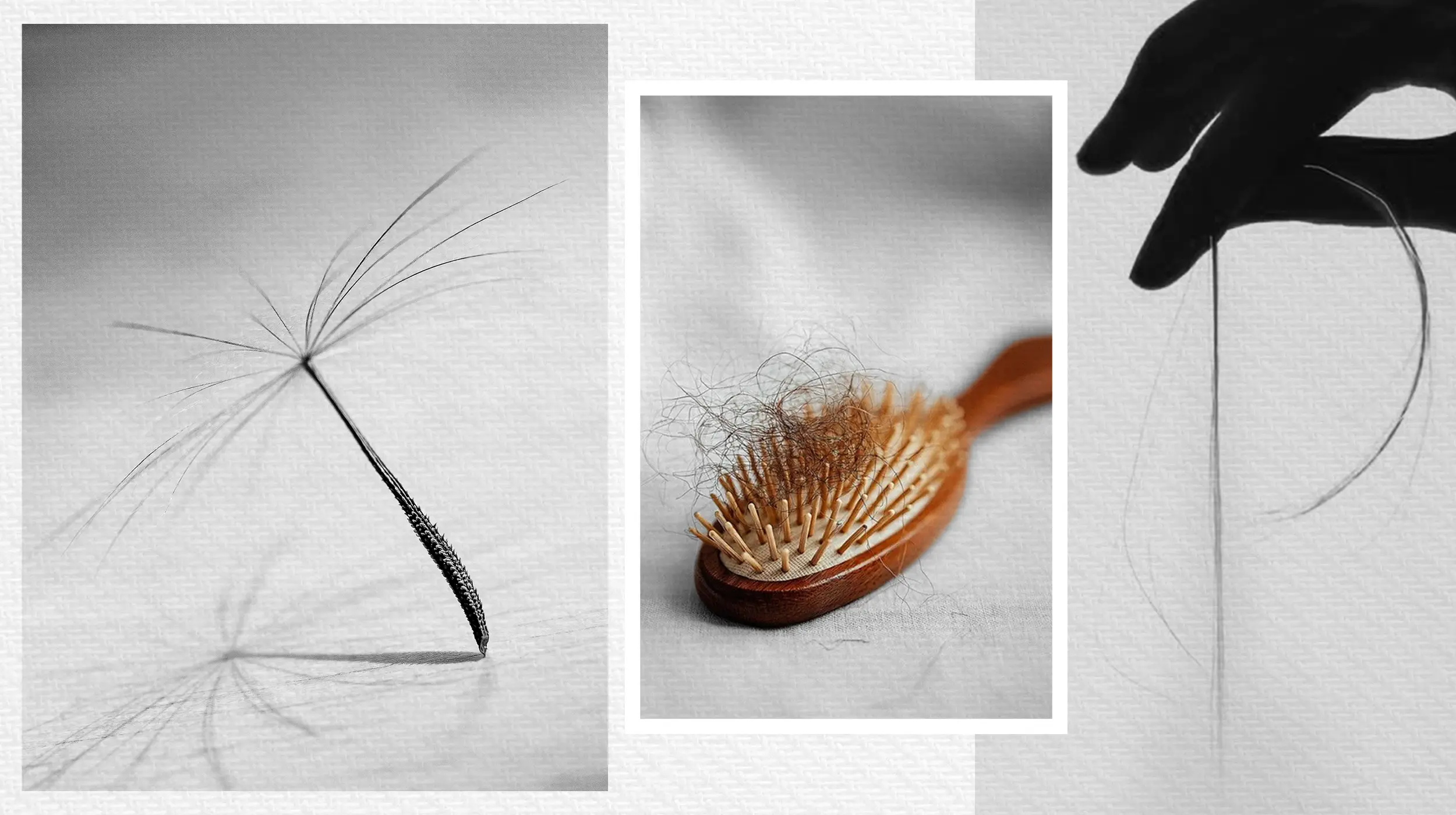 web ozempic hair loss 2500x1400