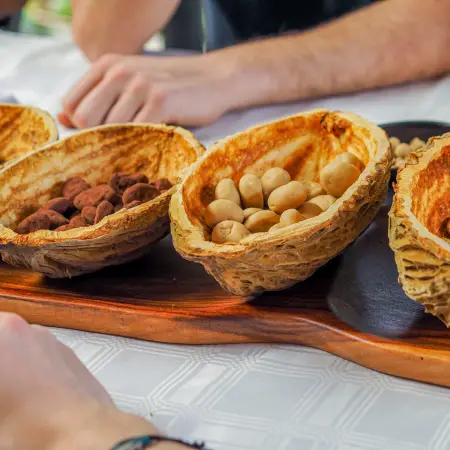 Nueces amazónicas. María José Guzmán.