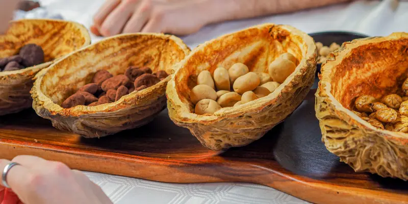 Nueces amazónicas. María José Guzmán.