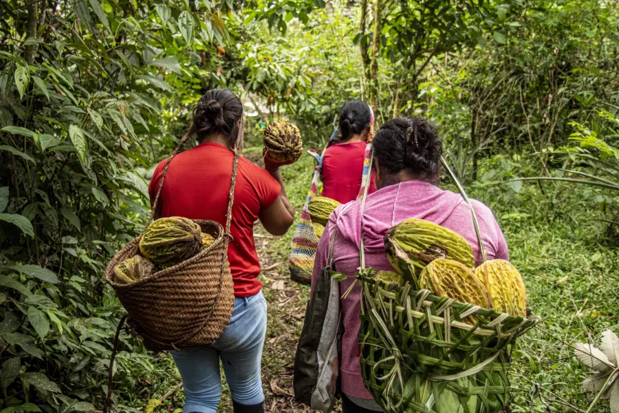 Productoras macambo. Antonela Carrasco.