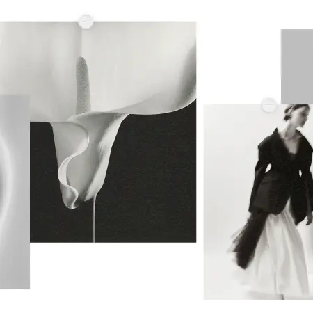 web anticonceptivos 2500x1400