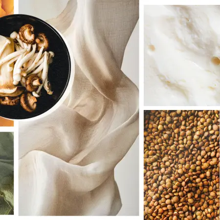 web veganismo ec 2500x1400