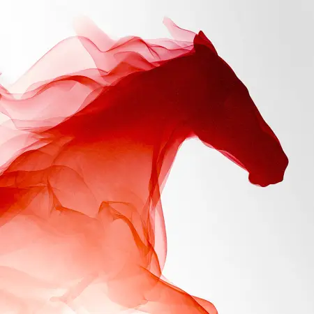 Harper's BAZAAR Ecuador