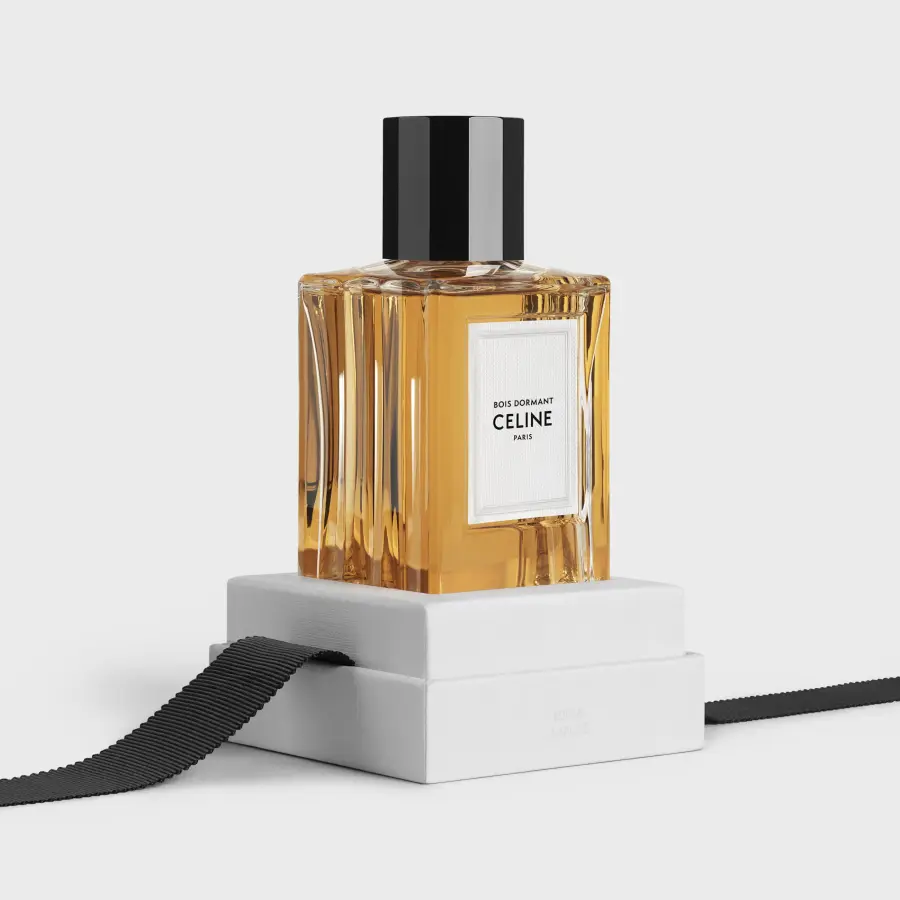 CELINE 6pc1n1105.37tt_6_win22