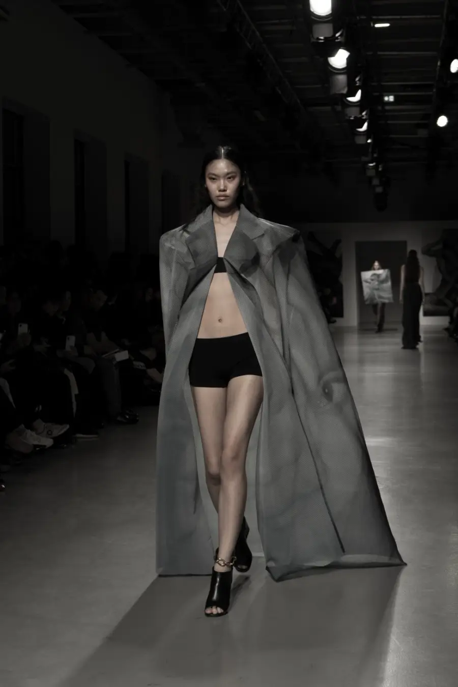 Cobertura de pasarela de Lucian Stefanescu.