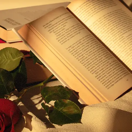 web recomendacion libros 2500x1400