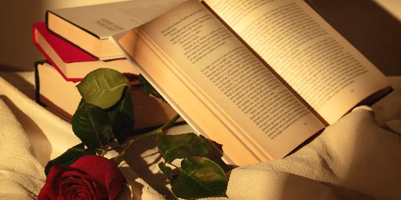 web recomendacion libros 2500x1400