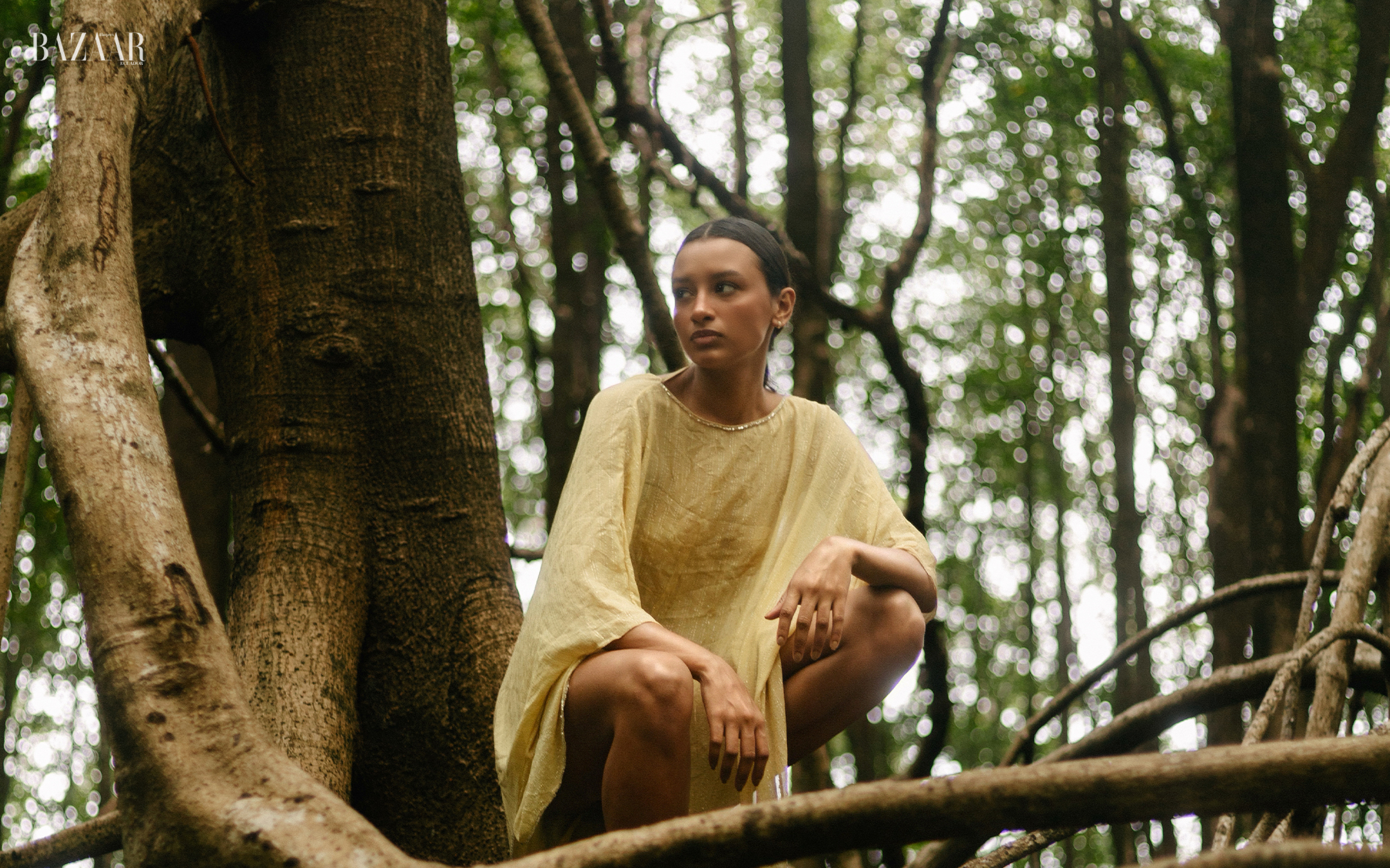 web - amazonia 2500x1400