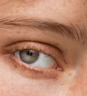 web - mirada al natural 2500x1400