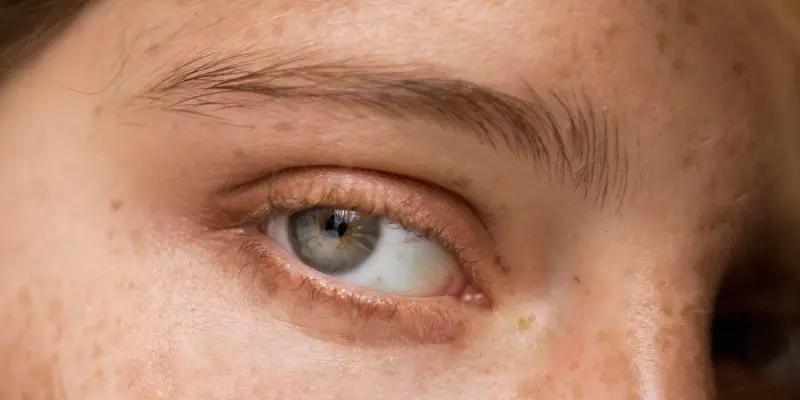 web - mirada al natural 2500x1400