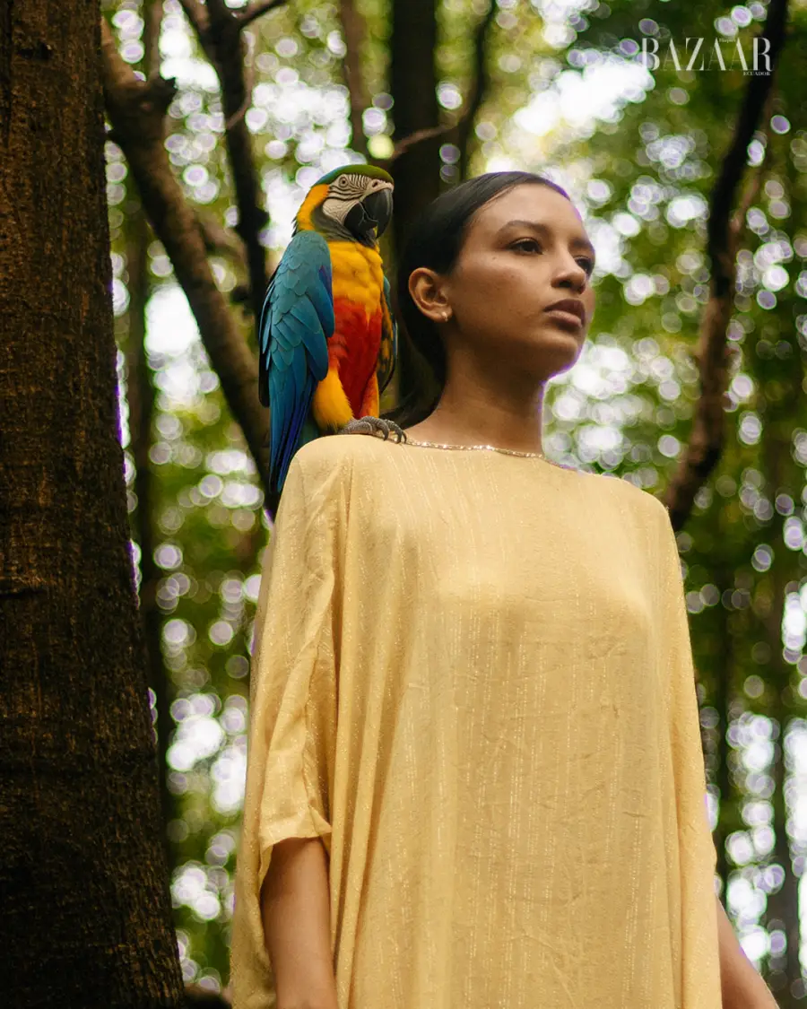 web - amazonia 2500x1400