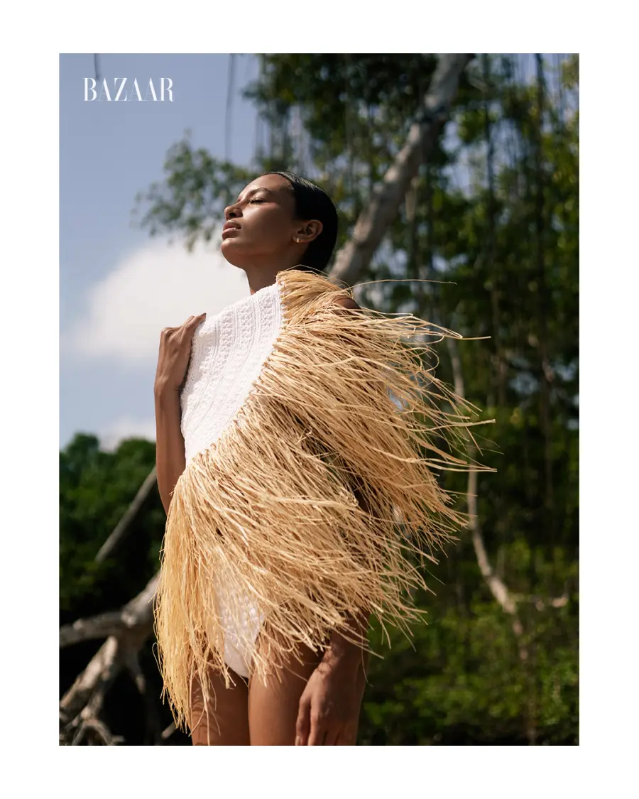 web - amazonia 2500x1400