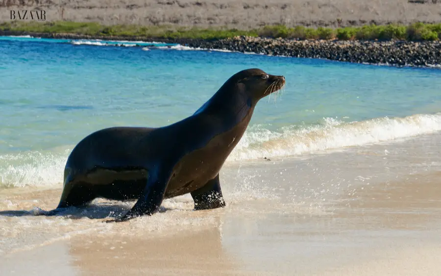 web - hermes 2500x1400 2