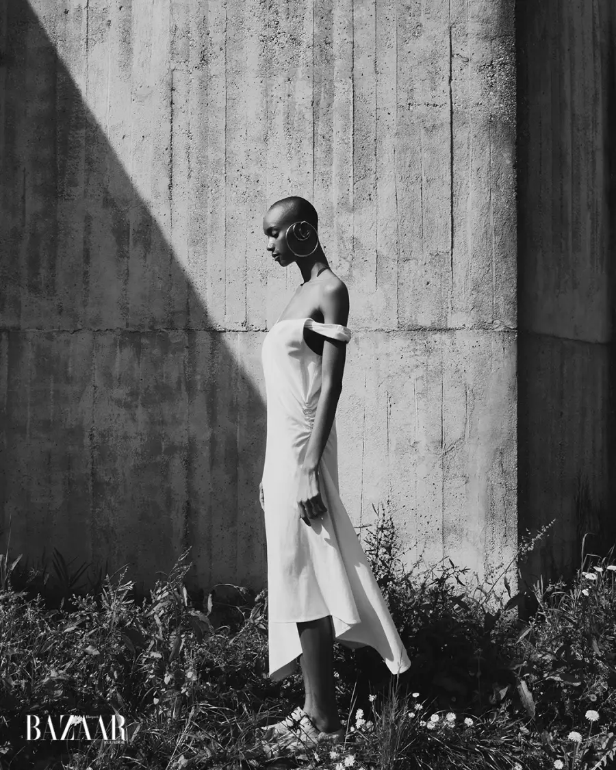 int 5 body as structure - 2500x1400 copy