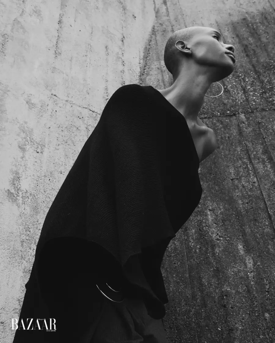 int 5 body as structure - 2500x1400 copy