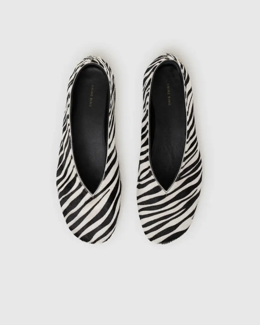 Cebra shoes