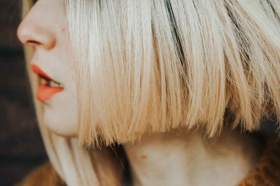 ENVATO. - ENVATO.