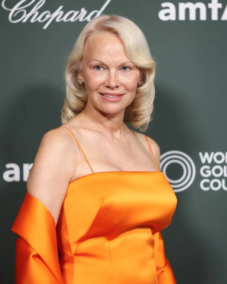 Pamela Anderson - 1