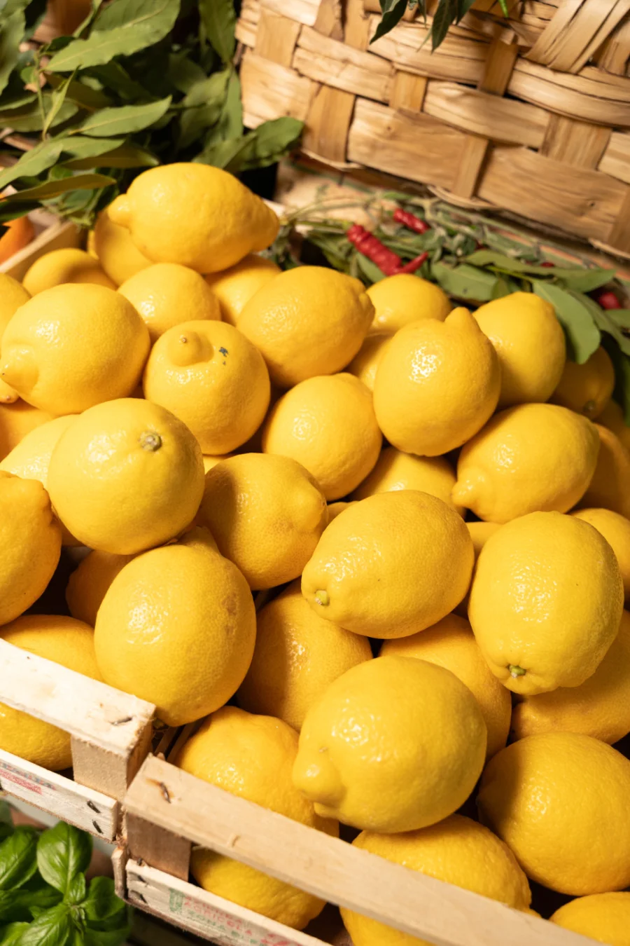 Limones - ALESSIO AMMANNATI
